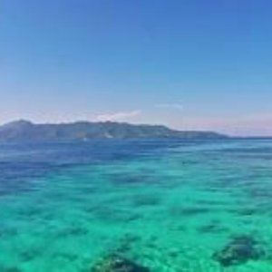 Meet your Posher, Jurga